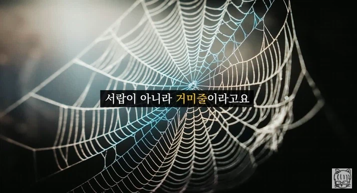 숏폼 중독이 무서운 뇌과학적 이유_48.webp