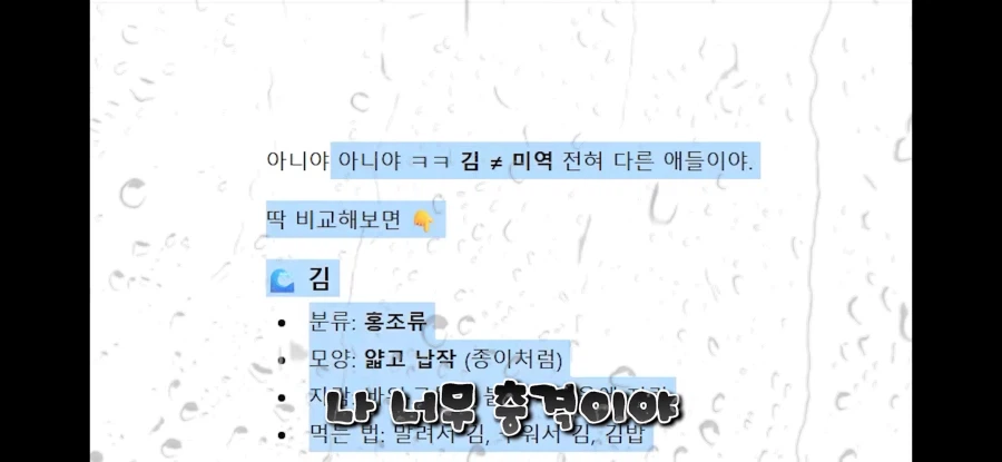 버튜버) 김 말린 게 미역이잖아요!_10.webp