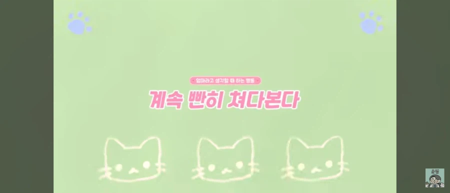 고양이가 집사를 