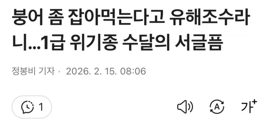 붕어 좀 잡아먹는다고 유해조수라니…1급 위기종 수달의 서글픔