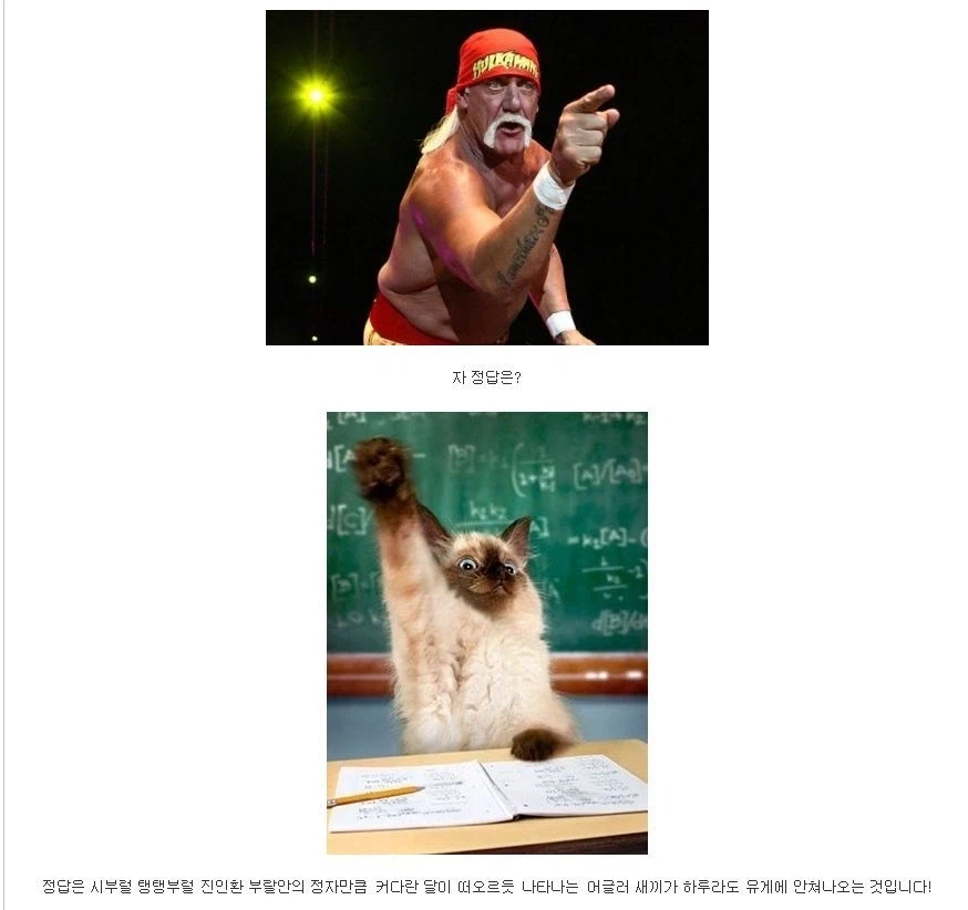 유게 전설의 빌런 괴도자지의 필력_4.webp