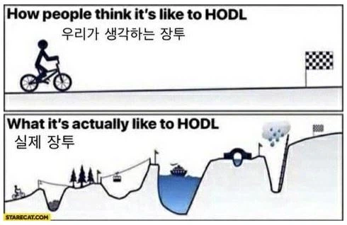 이쯤에서 다시 보는 장투 명짤