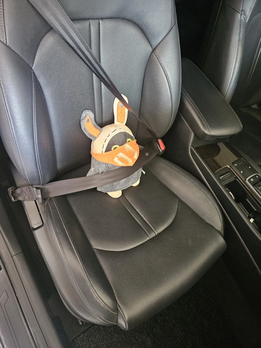 차에 방부 태움