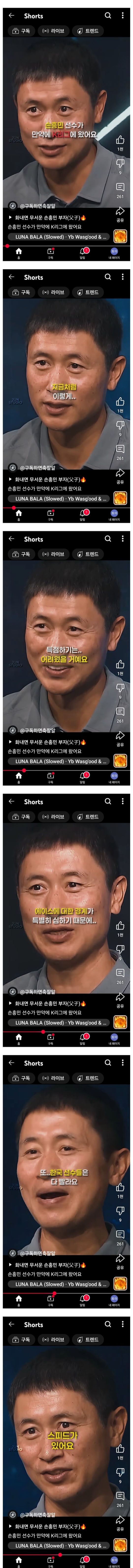 이영표 손흥민 관련  망언