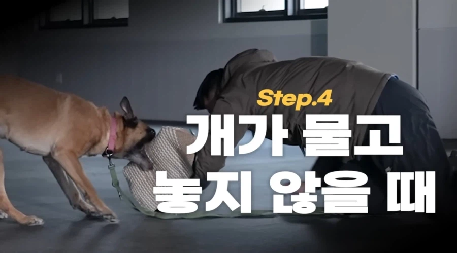 개물림 대처법 알려주는 강형욱