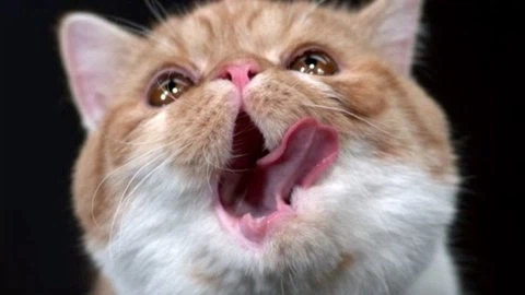 영화 글 쓸때 보람찬거.movie