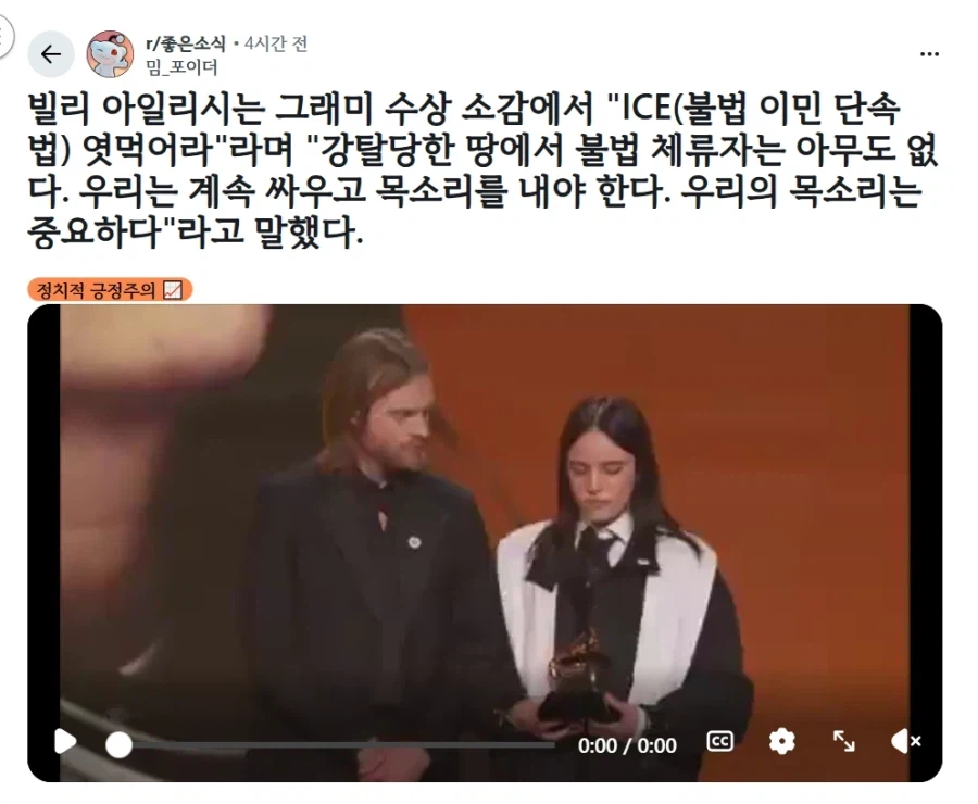 불법 이민단속에 한마디 하는 빌리 아일리시.jpg