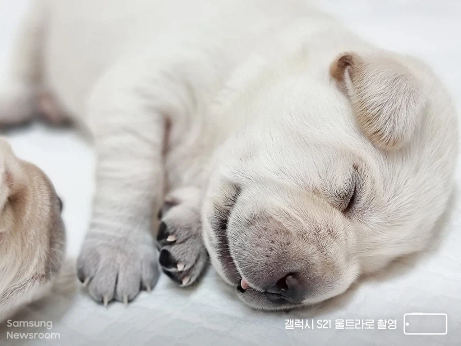 삼성이 33년동안 적자 보면서 유지해온 사업