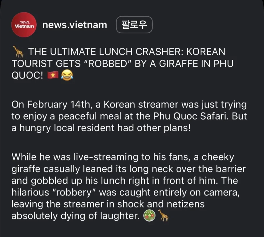 베트남 뉴스에 뜬 한국인 유튜버