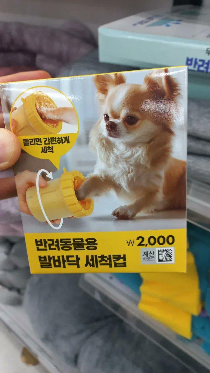 다이소에 나온 신제품 근황