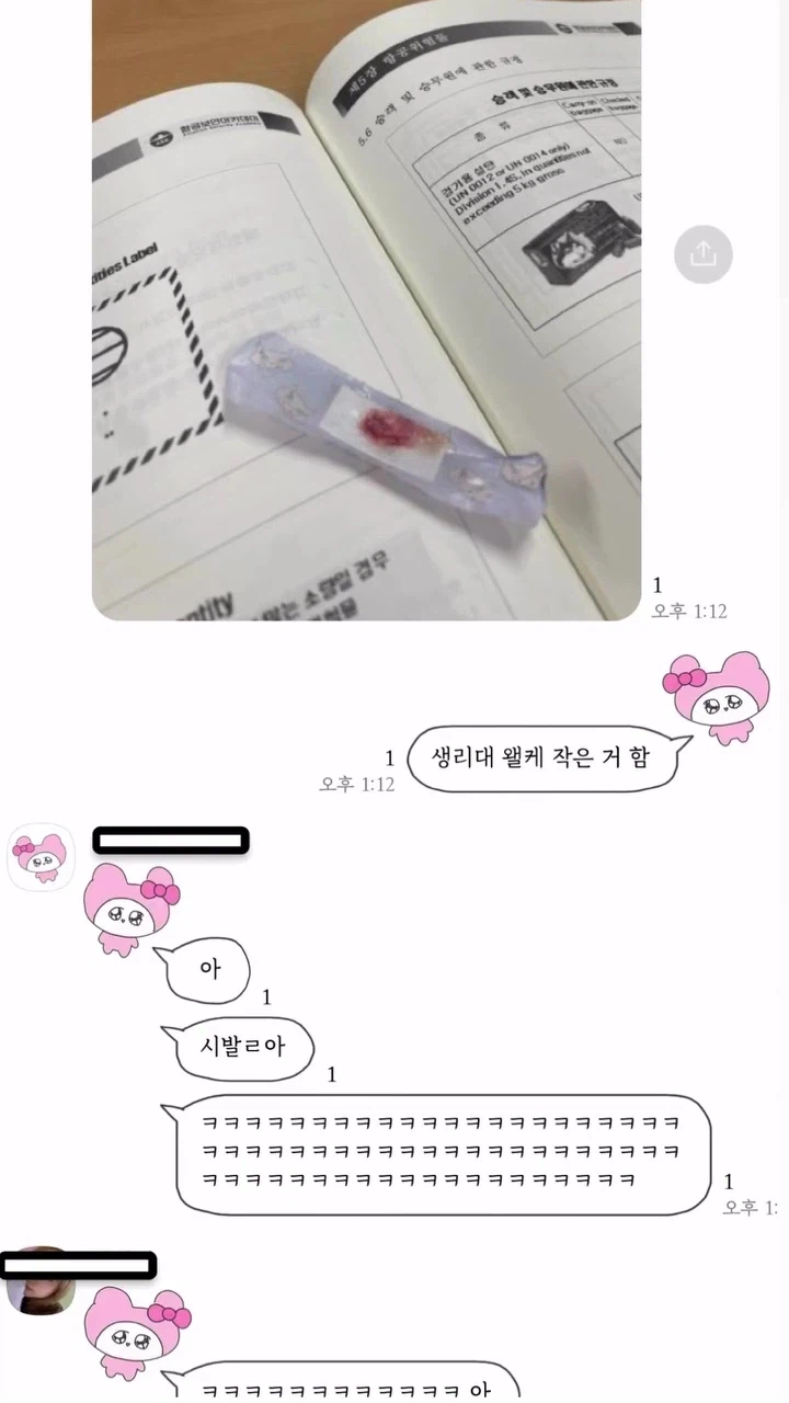 그것은 생리대라기엔 너무 작았다