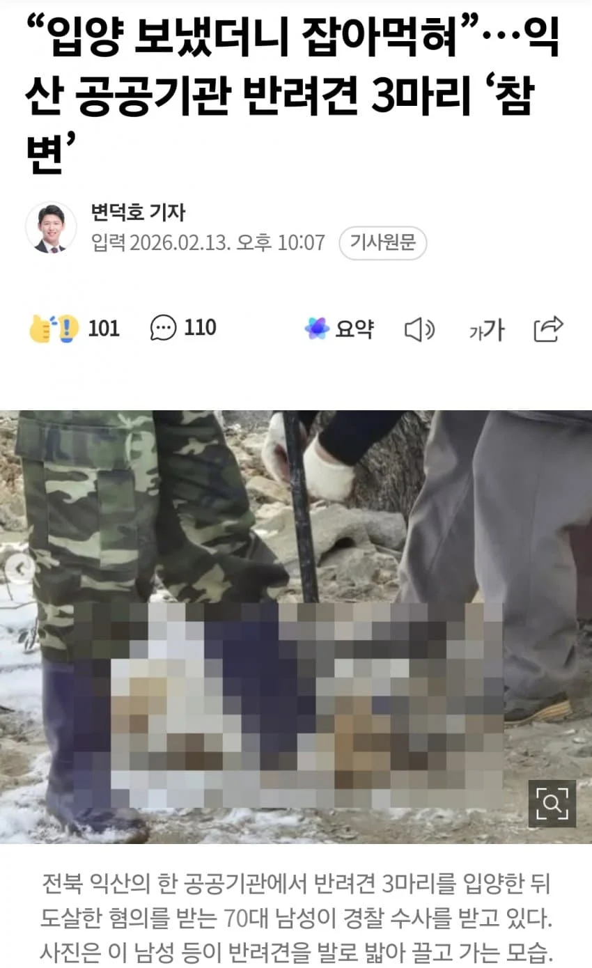 혐주의] 반려견 3마리를 분양받은 70대 노인