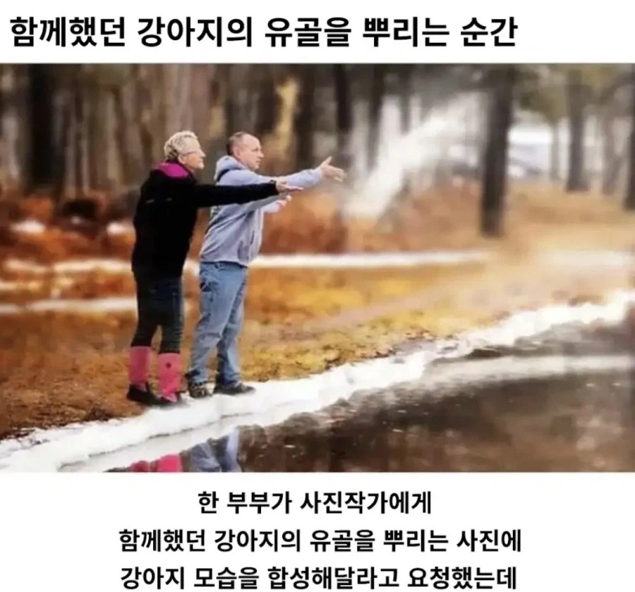 강아지 유골 뿌리는 순간