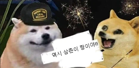 이번 설에는 스위치 4대를 준비했다.