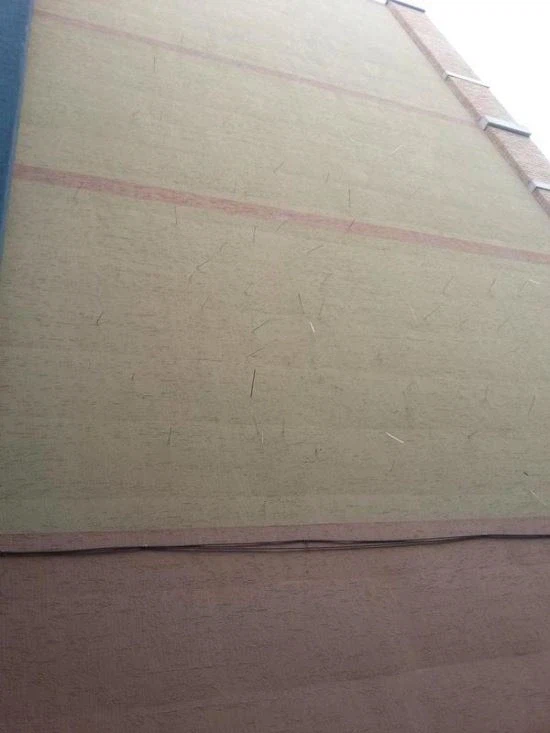 지금 돌이켜보면 대체 왜 논란이였는지 알 수 없는 물건_3.webp