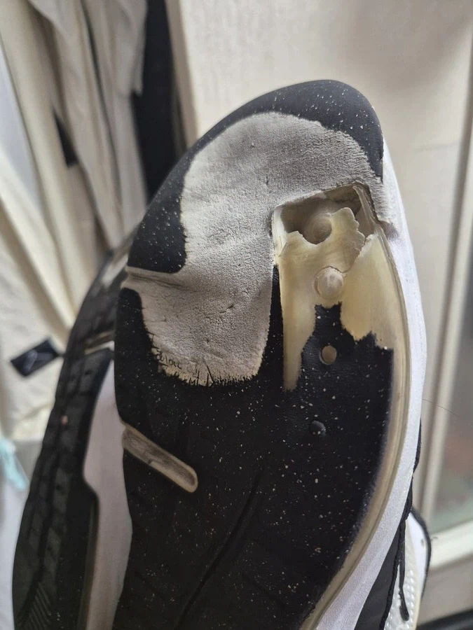 베글 전자레인지 보니 공감가네