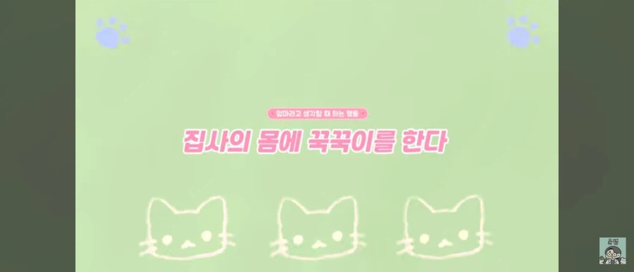 고양이가 집사를 