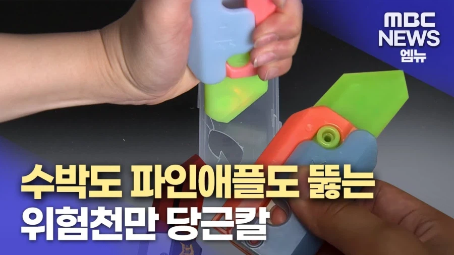 지금 돌이켜보면 대체 왜 논란이였는지 알 수 없는 물건_2.webp