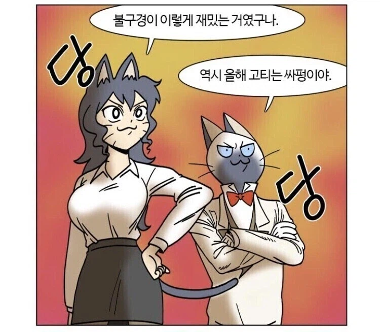 망조의 고양이는 이미 실력을 보여줬지_2.webp