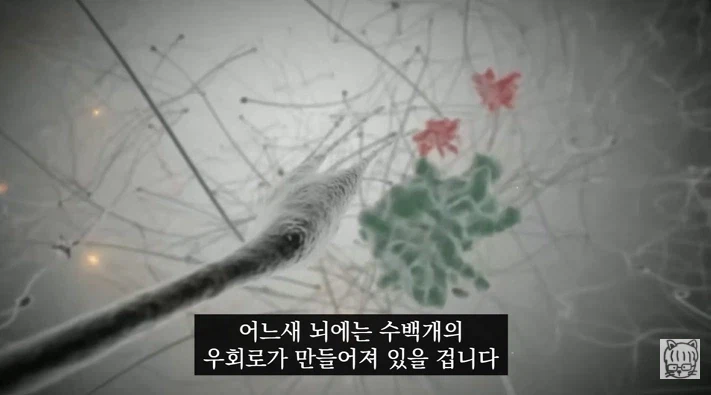 숏폼 중독이 무서운 뇌과학적 이유_80.webp