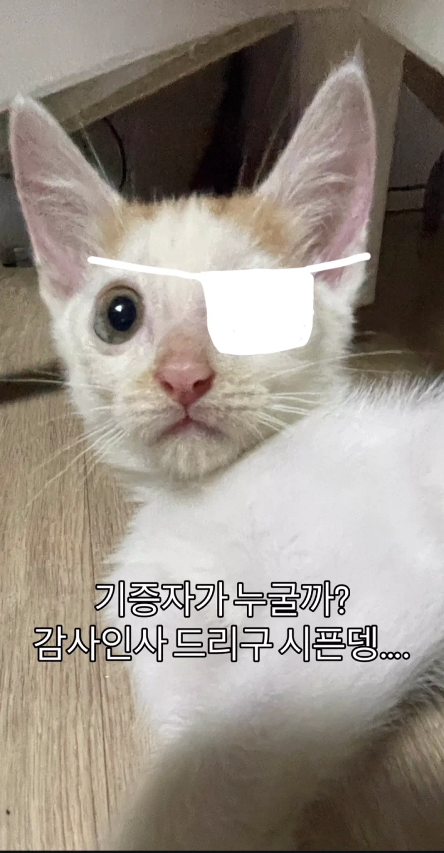 눈을 기증 받게된 애꾸 동생.jpg_3.webp