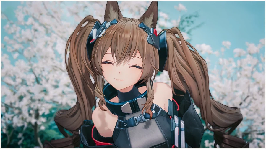 엔드필드) ...............................