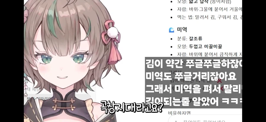 버튜버) 김 말린 게 미역이잖아요!_15.webp