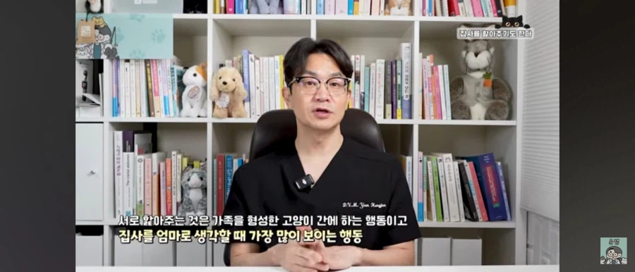 고양이가 집사를 