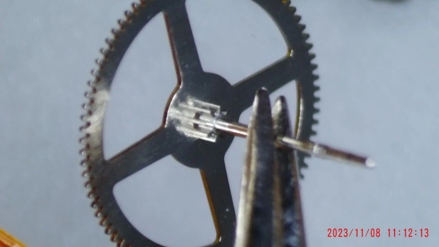 산호초 시계 에디션_11.webp