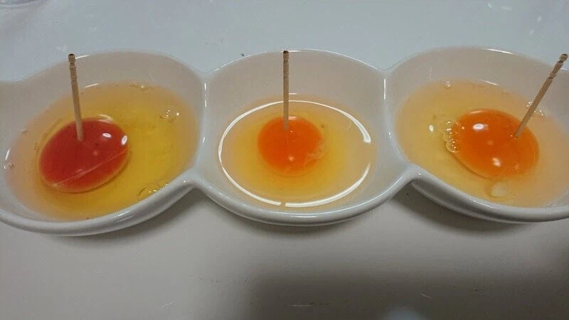 일본 고급달걀 보면 개인적으로 드는 생각_4.webp