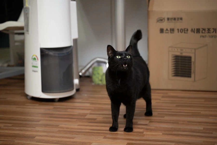 빚 갚을때 정신을 붙잡아준것...._3.webp