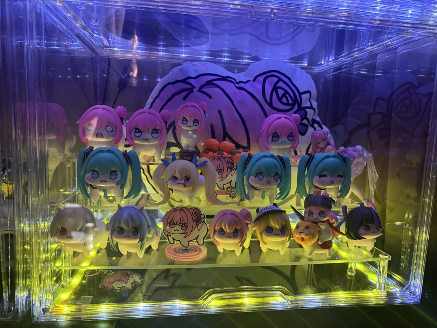 자랑)내 영롱한 피규어를 봐줘