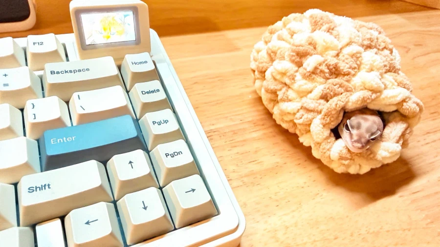 새로 나온 마우스를 자랑하는 일본인.JPG_3.webp