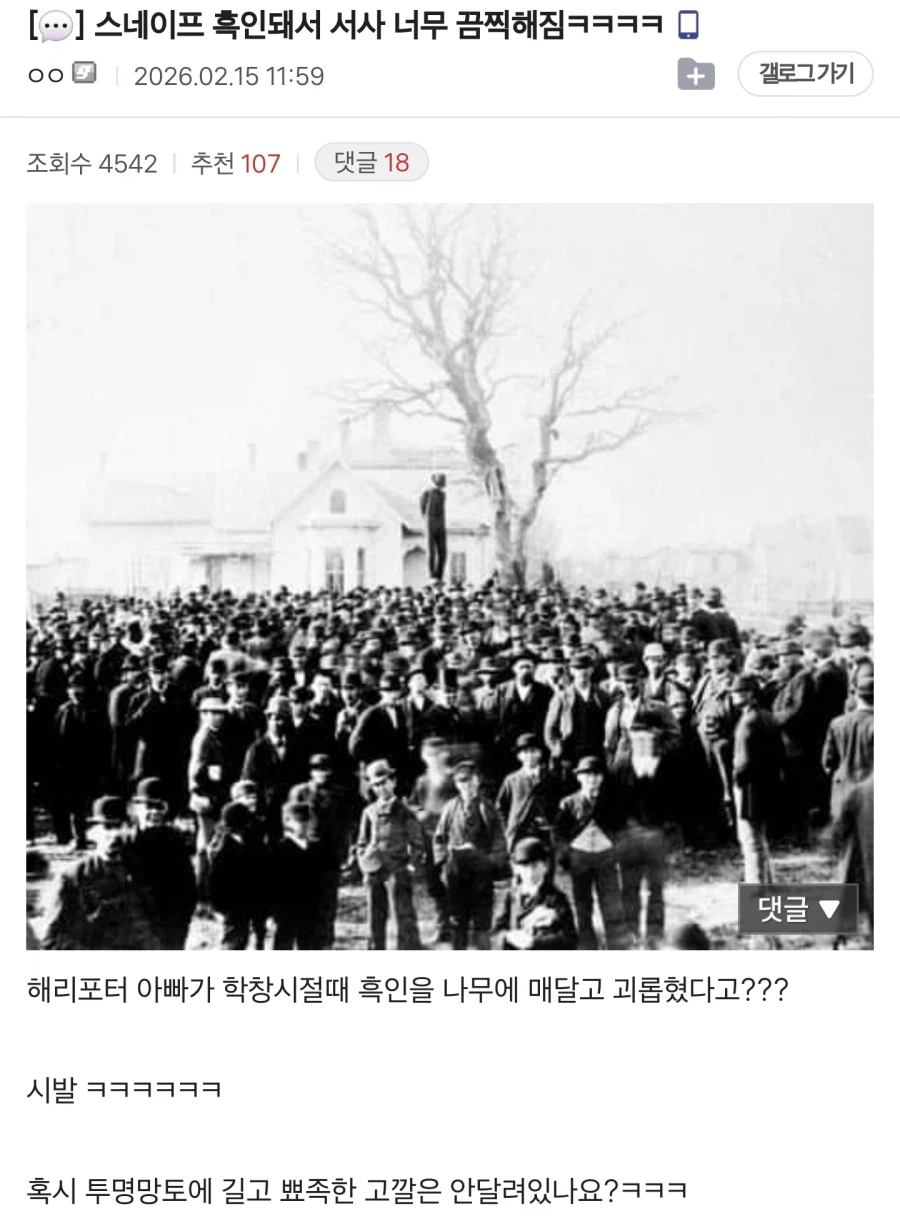 해리포터 스네이프가 흑인으로 캐스팅되어서 끔찍한 이유