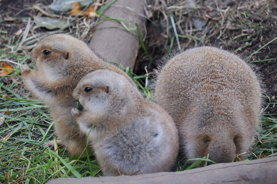 영화 집에서 보면 되는데 영화관을 왜 감?.movie_5.jpg