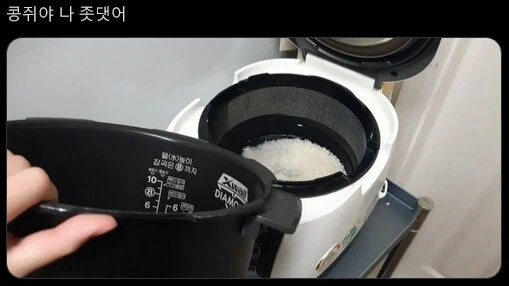 어떡해 나 좃됐어