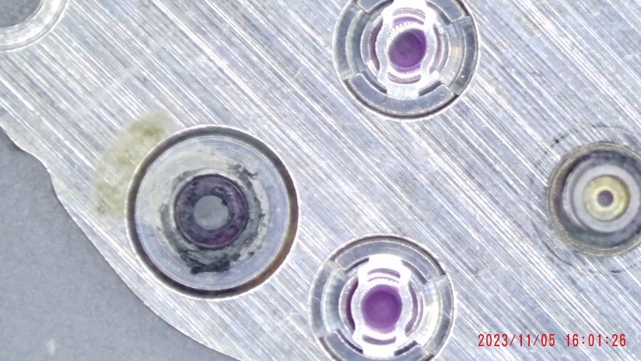 산호초 시계 에디션_6.webp