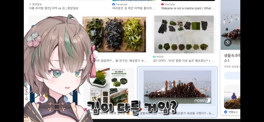 버튜버) 김 말린 게 미역이잖아요!_4.webp