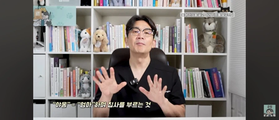 고양이가 집사를 