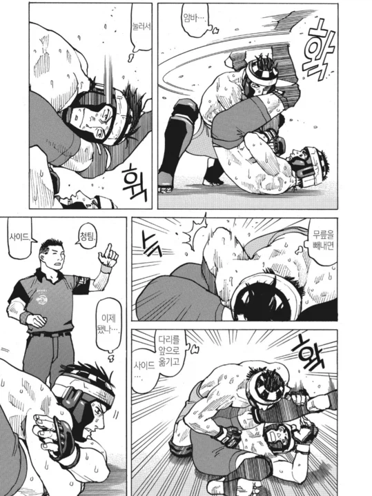 수싸움과 전략의 묘미가 좋았던 종합격투기(슈토) 만화_12.webp