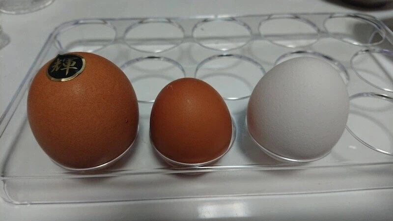 일본 고급달걀 보면 개인적으로 드는 생각_5.webp