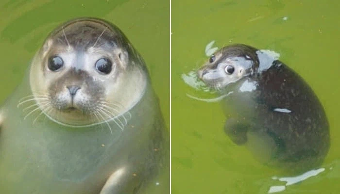 루리웹 좀 망하긴 햇내요..