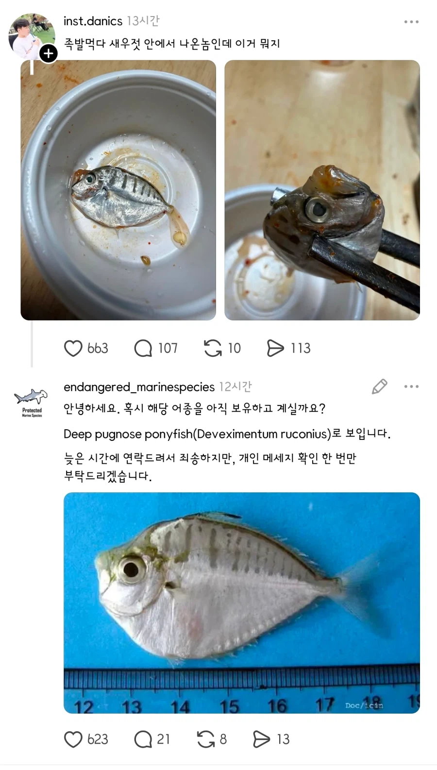 새우젓 안에 물고기 보고 다급해진 수산과학원 직원