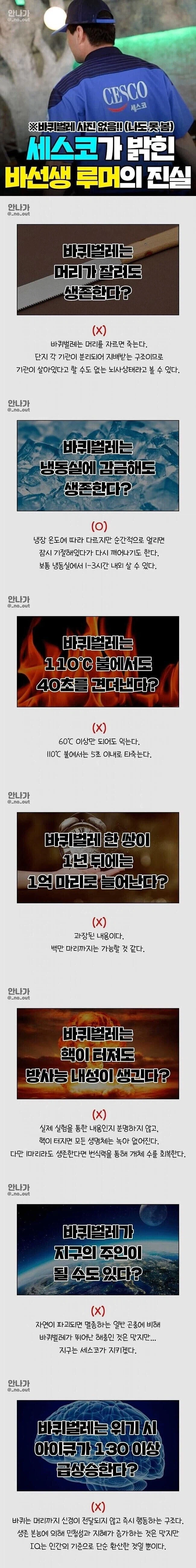 세스코가 밝힌 바선생에 대한 루머_1.webp