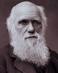 진화론 vs 창조설이 허수아비 때리기인 이유_3.webp