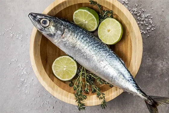 페이트식 설정.jpg_1.webp