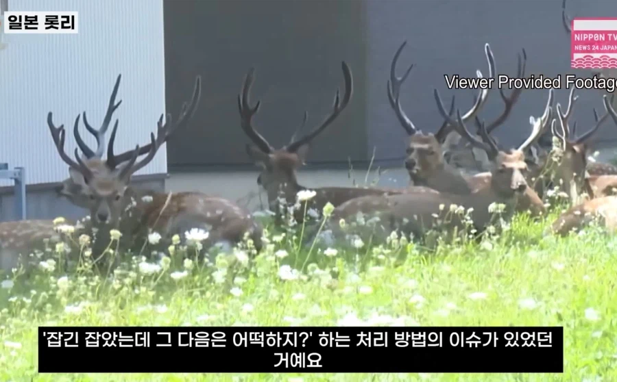 일본 롯데리아의 광기_8.webp