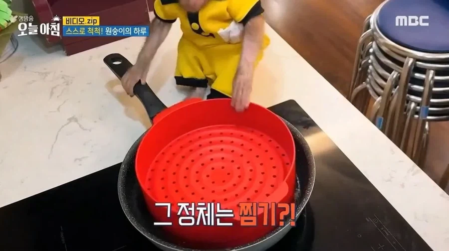 상위 1% 원숭이_14.webp