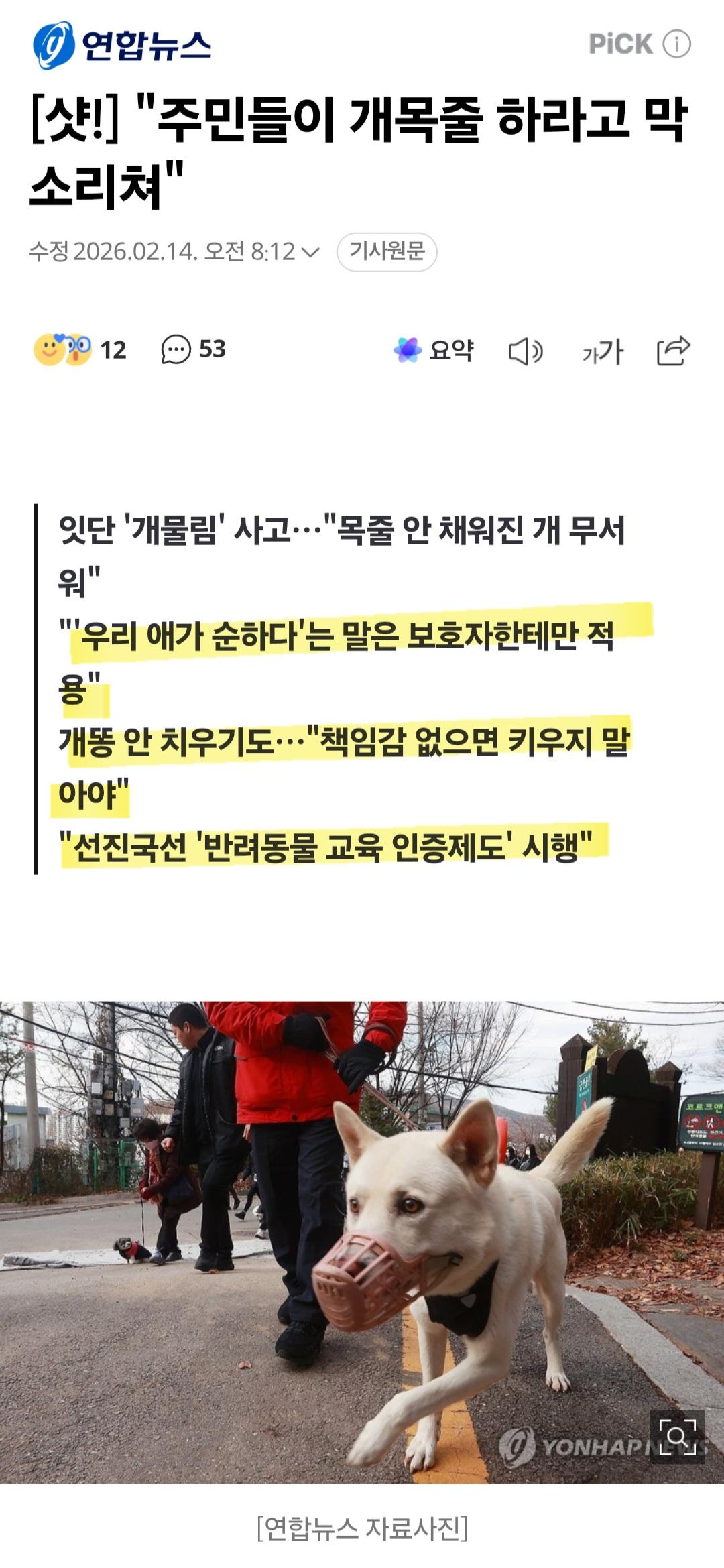 개 목줄 안 한 부부 때문에...한마음 한뜻이 된 아파트