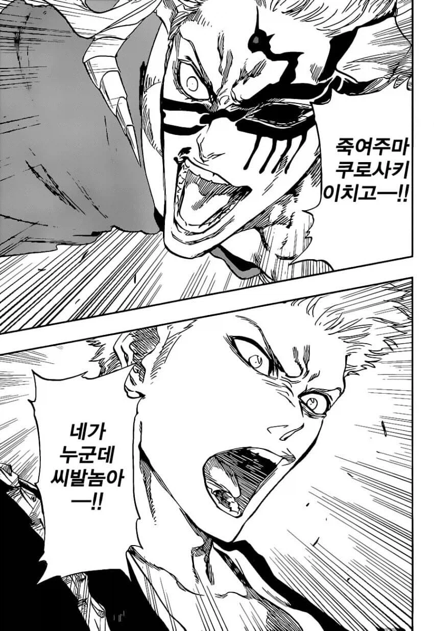 블리치의 가장 큰 문제점 요약